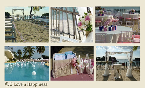 Colour Theme Wedding Decor
