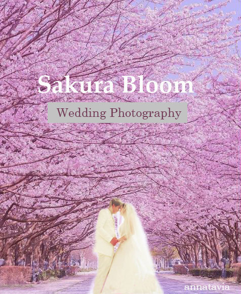 Overseas Wedding Photography